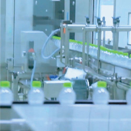 Cocomax production line