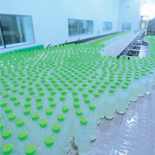 Cocomax on process